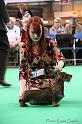 Crufts2011_2 1195